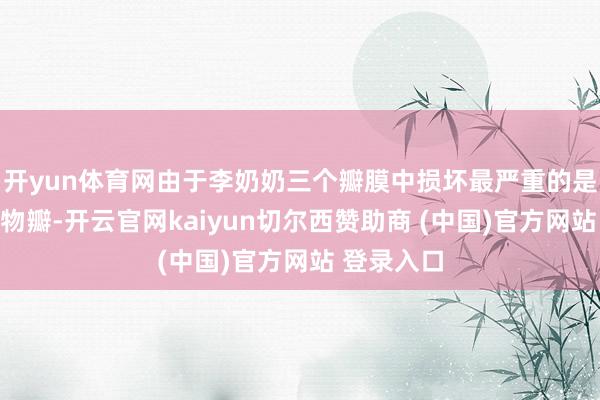 开yun体育网由于李奶奶三个瓣膜中损坏最严重的是三尖瓣生物瓣-开云官网kaiyun切尔西赞助商 (中国)官方网站 登录入口
