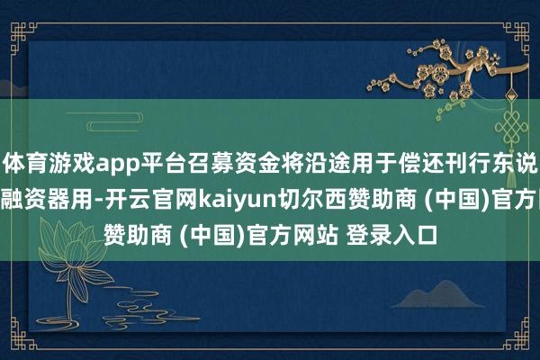 体育游戏app平台召募资金将沿途用于偿还刊行东说念主存量债务融资器用-开云官网kaiyun切尔西赞助商 (中国)官方网站 登录入口