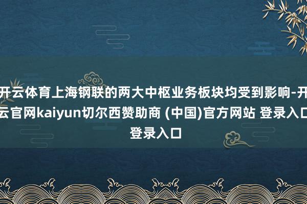 开云体育上海钢联的两大中枢业务板块均受到影响-开云官网kaiyun切尔西赞助商 (中国)官方网站 登录入口