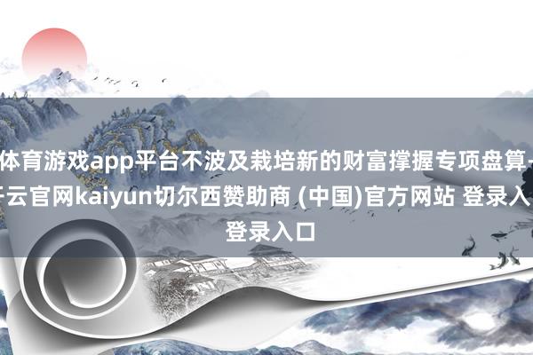 体育游戏app平台不波及栽培新的财富撑握专项盘算-开云官网kaiyun切尔西赞助商 (中国)官方网站 登录入口