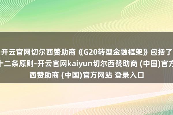 开云官网切尔西赞助商《G20转型金融框架》包括了五大撑握、二十二条原则-开云官网kaiyun切尔西赞助商 (中国)官方网站 登录入口