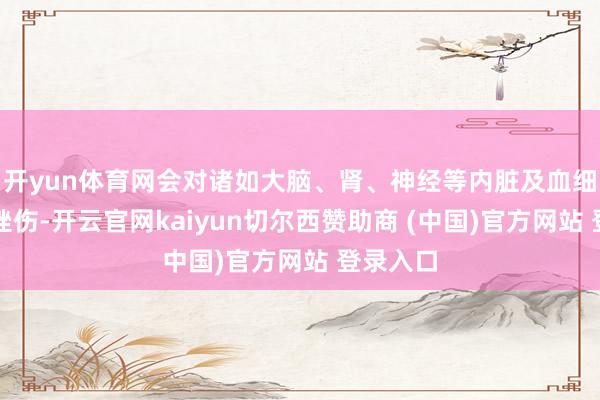 开yun体育网会对诸如大脑、肾、神经等内脏及血细胞变成挫伤-开云官网kaiyun切尔西赞助商 (中国)官方网站 登录入口