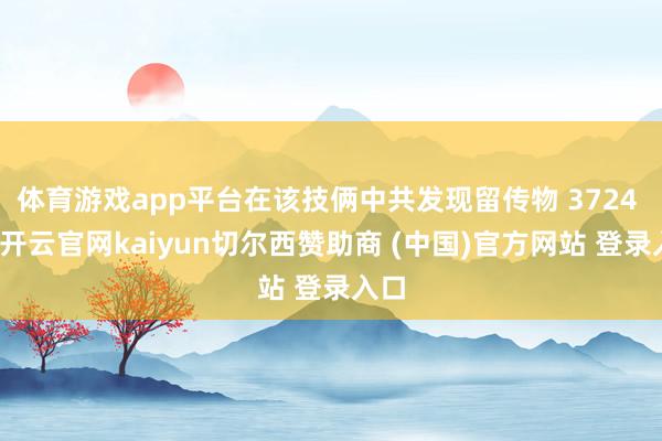 体育游戏app平台在该技俩中共发现留传物 3724 件-开云官网kaiyun切尔西赞助商 (中国)官方网站 登录入口