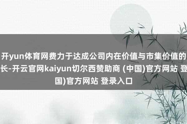 开yun体育网费力于达成公司内在价值与市集价值的协同增长-开云官网kaiyun切尔西赞助商 (中国)官方网站 登录入口