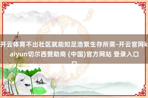 开云体育不出社区就能知足浩繁生存所需-开云官网kaiyun切尔西赞助商 (中国)官方网站 登录入口