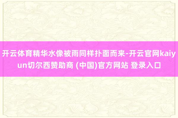 开云体育精华水像被雨同样扑面而来-开云官网kaiyun切尔西赞助商 (中国)官方网站 登录入口